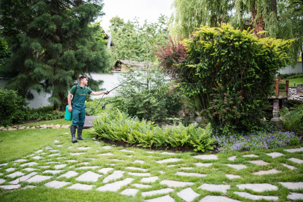 Best Mosquito Control Services  in Owasso, OK