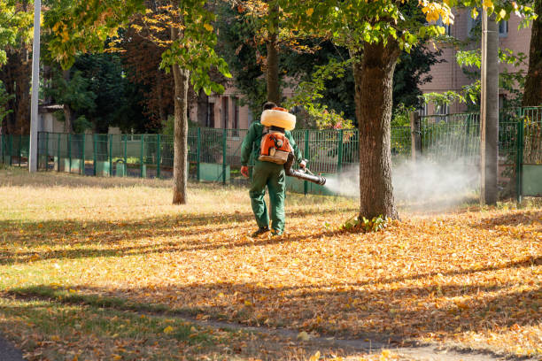 Wasp Removal Services in Owasso, OK